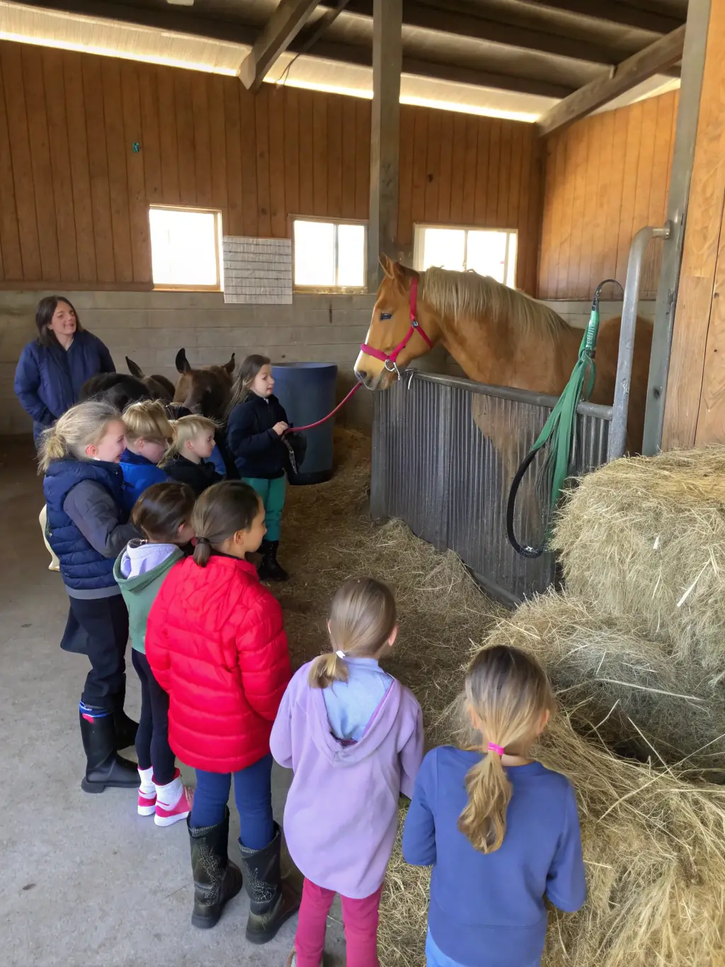 A heartwarming image of children participating in an educational program about horse care, organized by ASSOCIATION DES CONCOURS HIPPIQUES DE SAINT CHAMANT, emphasizing the organization's commitment to youth engagement and animal welfare.